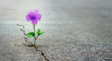 depression counselling @ Auckland Therapy
